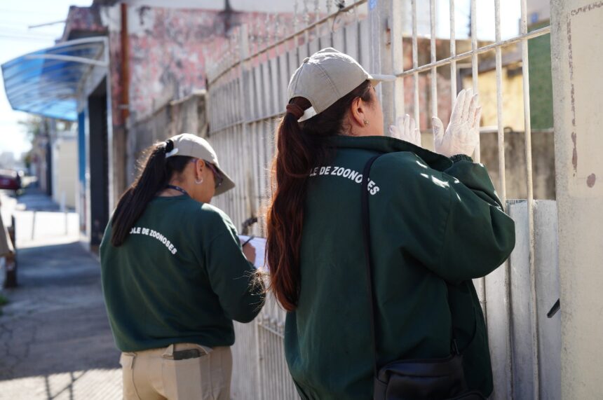 Acoes Dengue 50 Bairros